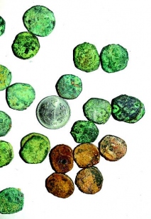 17th century coins unearthed from farm at Nanoda, Sattari - Herald
