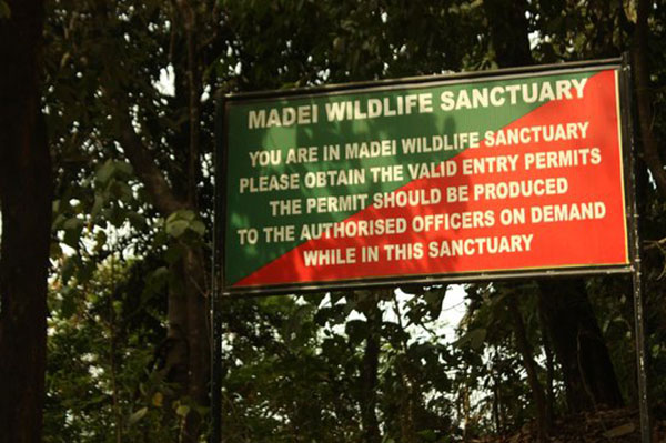 Activists protest in city, want govt to notify Mhadei Sanctuary as Tiger Reserve