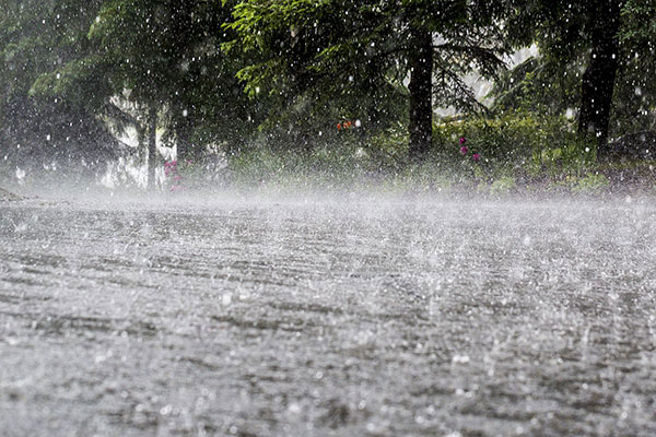 Unseasonal Rainfall Surprises Goa Amid Festivities and Agricultural Activities