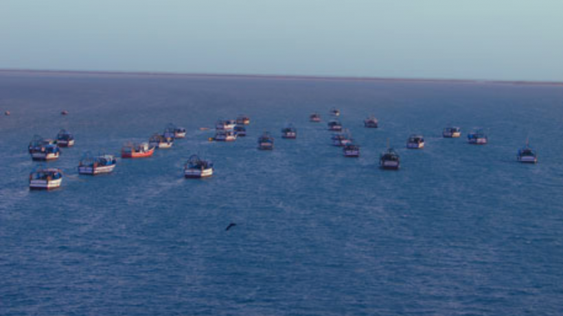 Navy apprehends 32 more Indian fishermen poaching in Sri Lankan waters
