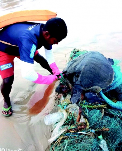 DEATH TRAPS IN SEA: ‘Ghost nets’ threaten marine life in Goa